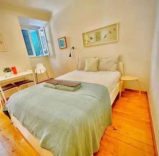 Cozy Studio In Stª Catarina
